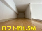神戸リノベーション賃貸　三宮に大人気ロフト付プロジェクト完成です。（物件番号：1000012368）｜その他5